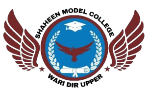Shaheen Model High School and College